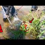 ガサガサのプロを誘って川に入ったらとんでもない物が飛び出して来た！！