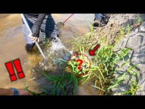 ガサガサのプロを誘って川に入ったらとんでもない物が飛び出して来た！！