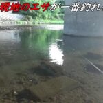 川釣りは現地調達のエサが一番釣れる！！