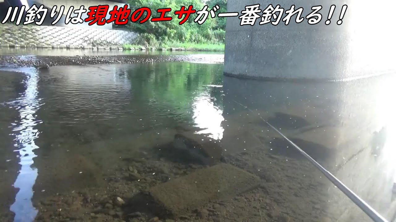 川釣りは現地調達のエサが一番釣れる!!