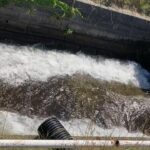 豊平川にある入れ食いの用水路で釣り