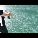 発光路の森：静かな管理釣り場で流れる穏やかな時間【アウトドアヴィレッジ発光路の森】【エリアトラウト】【栃木】