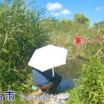 今日は海老名でエビ祭り？？ 真夏の相模川のワンドは何釣れる？   神奈川県 海老名市で小物釣り。