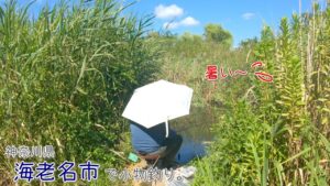 今日は海老名でエビ祭り？？ 真夏の相模川のワンドは何釣れる？   神奈川県 海老名市で小物釣り。