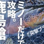 ブラウントラウトも本気で泳ぐとこんなに速いのか…【管理釣り場】【エリアミノーイング】【鹿島槍ガーデン】