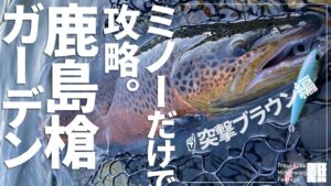 ブラウントラウトも本気で泳ぐとこんなに速いのか…【管理釣り場】【エリアミノーイング】【鹿島槍ガーデン】