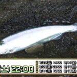 北海道洞爺湖のヒメマスを釣査！【釣りビジョン番組紹介】