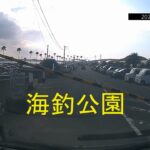 南浜名湖の釣り　魚釣れています