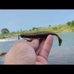 真夏の鬼怒川 流れを読む！ バス釣り スモールマウス