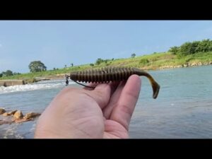 真夏の鬼怒川 流れを読む！ バス釣り スモールマウス