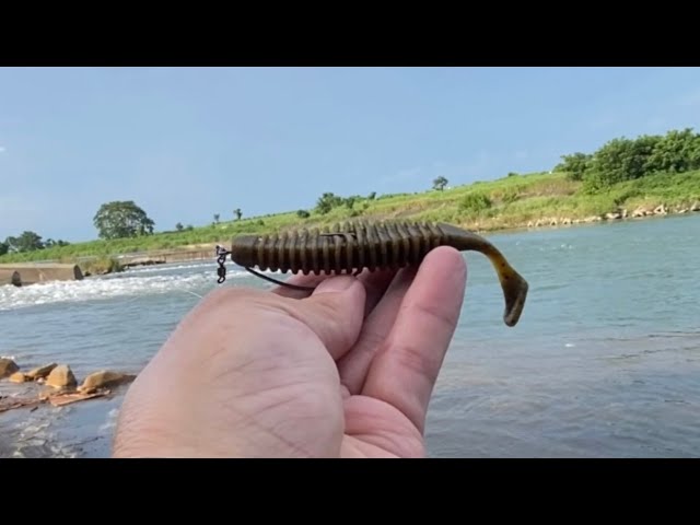 真夏の鬼怒川 流れを読む！ バス釣り スモールマウス