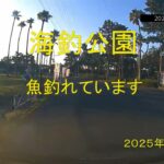 海釣公園　魚釣れています