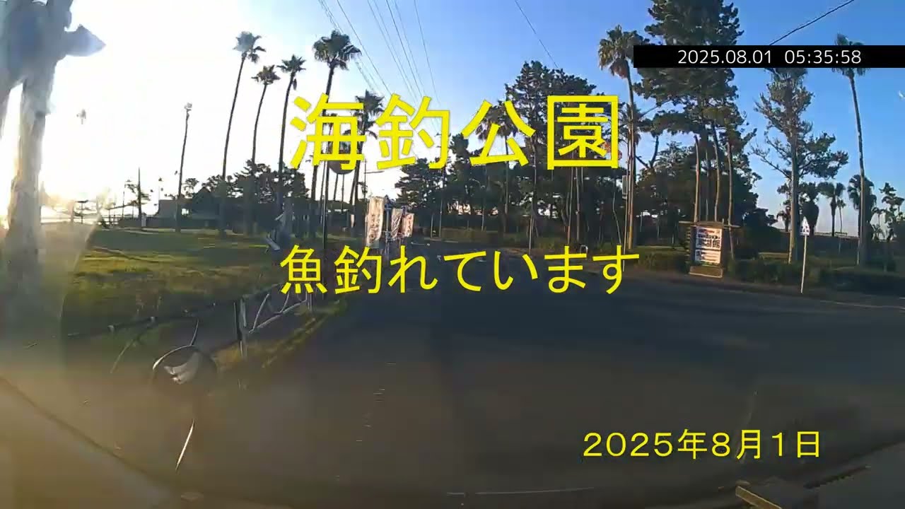 海釣公園　魚釣れています