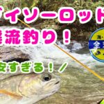【雑レビュー】渓流でダイソーロッドを使ってみた！【ダイソーロッド】