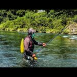 【初鮎！初鮎釣り！まさに奥深い沼！生命の一匹を知る】#釣り#鮎#鮎釣り#ど素人#高知#四国#川遊び