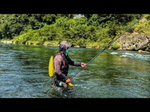 【初鮎！初鮎釣り！まさに奥深い沼！生命の一匹を知る】#釣り#鮎#鮎釣り#ど素人#高知#四国#川遊び