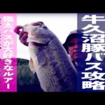 【バス釣り】牛久沼２キロ超えの豚バスを狙え！究極のバスロッドで快適フィッシング【牛久沼攻略】