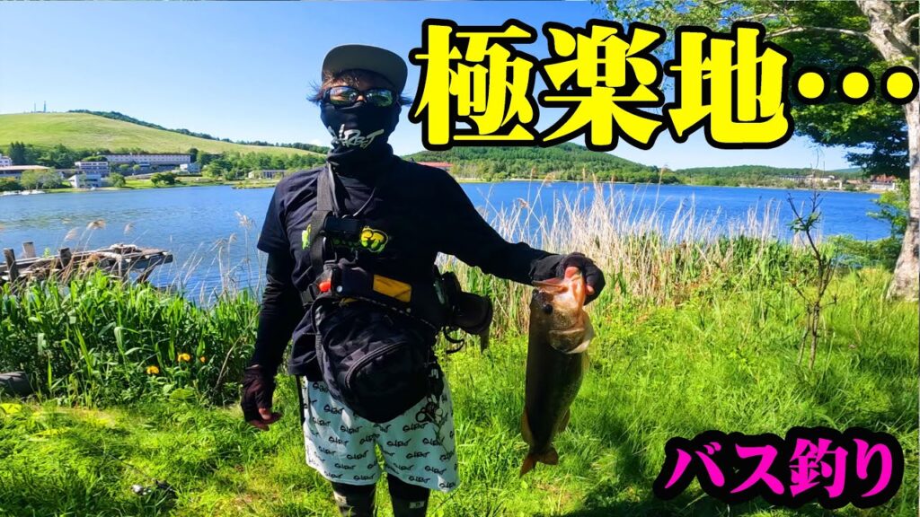 こんな場所あったの？超有名なリゾート地で釣りをしたら楽園すぎた！！！【白樺湖】【バス釣り】【シャーベットヘアーチャンネル】【長野県】