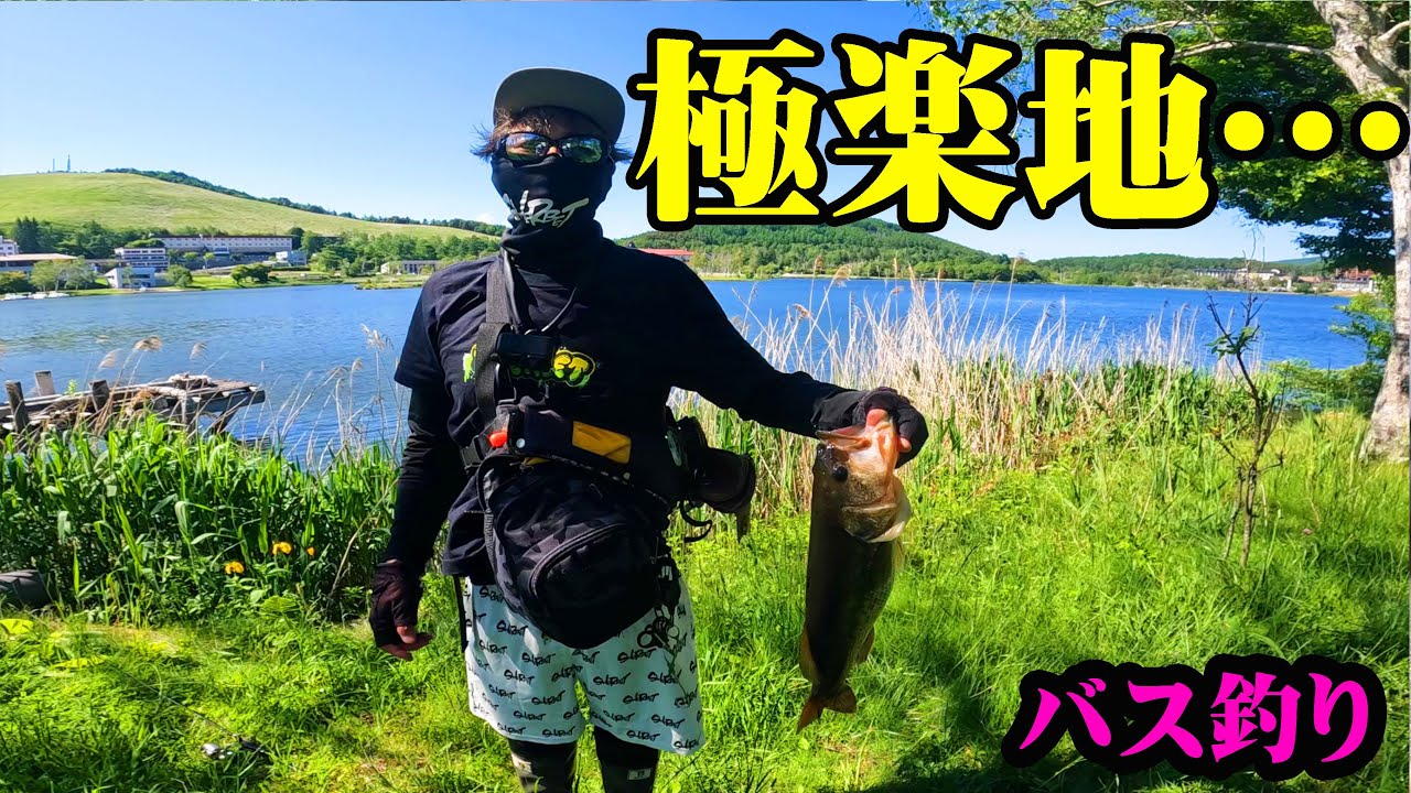 こんな場所あったの?超有名なリゾート地で釣りをしたら楽園すぎた!!!【白樺湖】【バス釣り】【シャーベットヘアーチャンネル】【長野県】