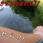 川に引きずり込まれるほどの大物が！！！！！
