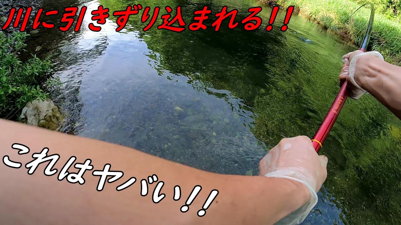 川に引きずり込まれるほどの大物が!!!!!