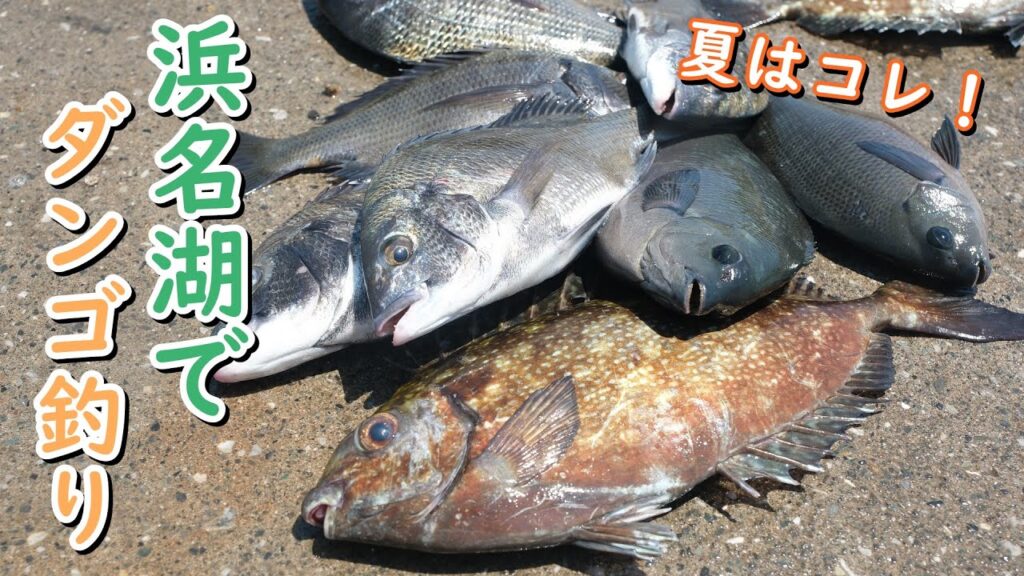 【浜名湖】握る！投げる！最高の釣り！【ダンゴ釣り・黒鯛】