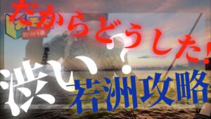 【若洲/海釣り施設内攻略】キツい濁り目の時は魚の通り道をねらいましょう！初心者も。
