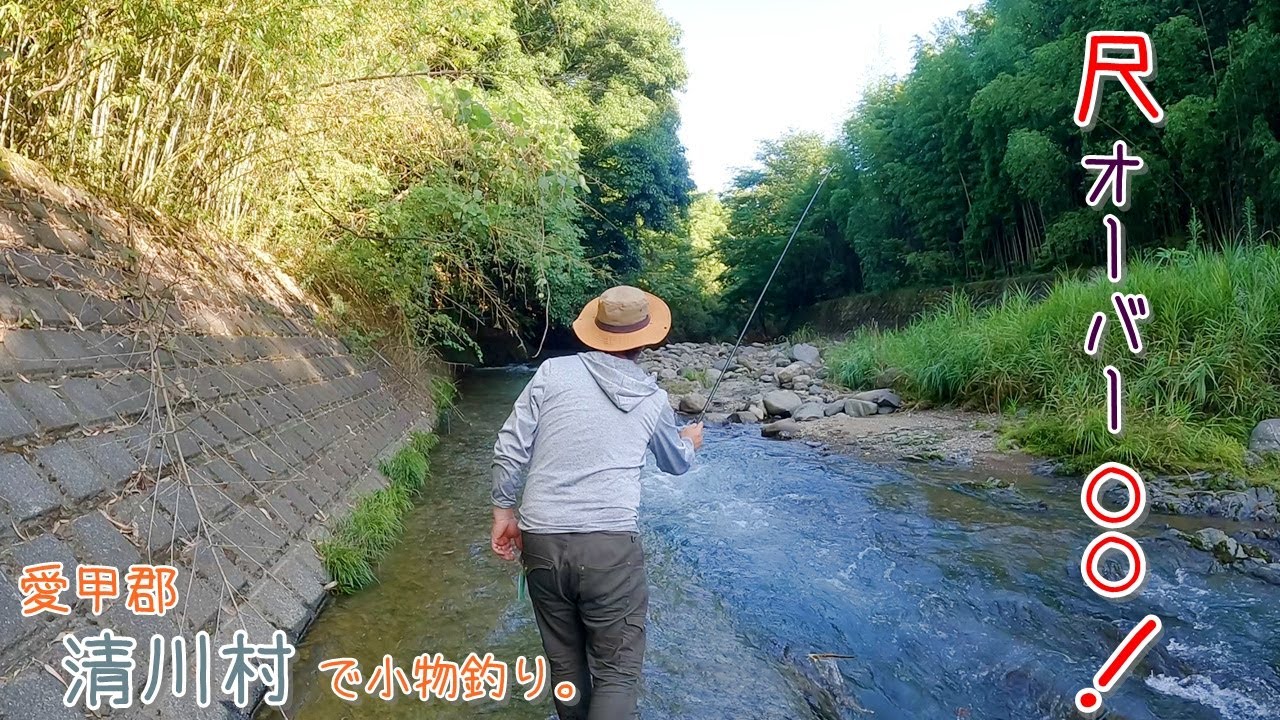思わぬ場所で尺オーバー〇〇! 油断しちゃダメー! 愛甲郡 清川村で小物釣り。