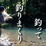 【ヤマメ狙い】夏の渓流 私のリュウキ釣法教えます