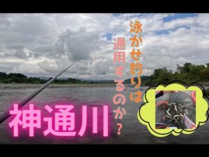 【２０２５年８月２日　神通川鮎釣り。縦竿の泳がせ釣りは通用するのか】