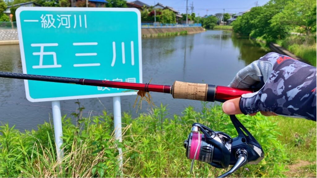 岐阜県五三川でバス釣り。ボイルしているデカバスをどうにか釣りたい！