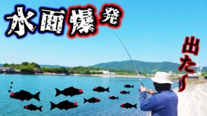 天草の海で魚だらけのところにルアーを投げると！