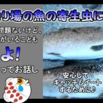 【エリアトラウト】管理釣り場の魚の寄生虫について知っておきたいこと【ウオジラミ・サルミンコーラ】