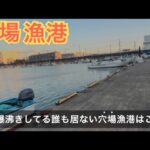 今期も絶好調！！魚が沸きまくる誰も釣りをしていない穴場釣り漁港はここ！