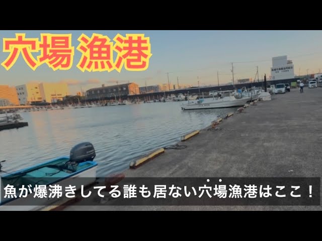今期も絶好調！！魚が沸きまくる誰も釣りをしていない穴場釣り漁港はここ！