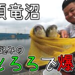 両トロロエサの作り方と九頭竜沼のヘラブナ釣り【埼玉県東松山市】