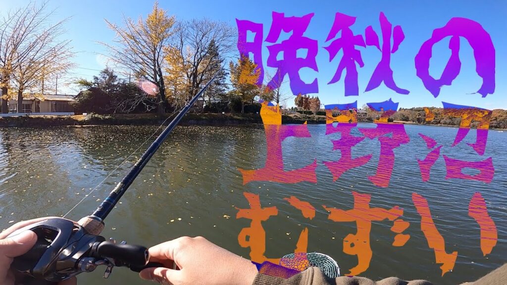 【上野沼】晩秋の上野沼むずい【バス釣り】
