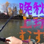 【上野沼】晩秋の上野沼むずい【バス釣り】