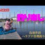 【釣り楽し！ヘラブナ釣り】渋‼︎鳥羽井沼ヘラブナ管理釣り場【川島町】