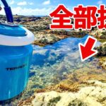 磯の水全部抜いたらヤバすぎた