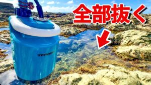磯の水全部抜いたらヤバすぎた