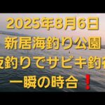 浜名湖　新居海釣り公園夜釣りでサビキ釣行　一瞬の時合　
