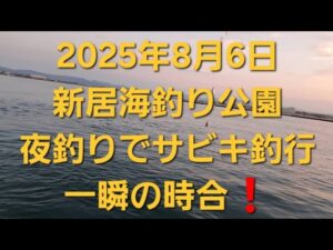 浜名湖 新居海釣り公園夜釣りでサビキ釣行 一瞬の時合