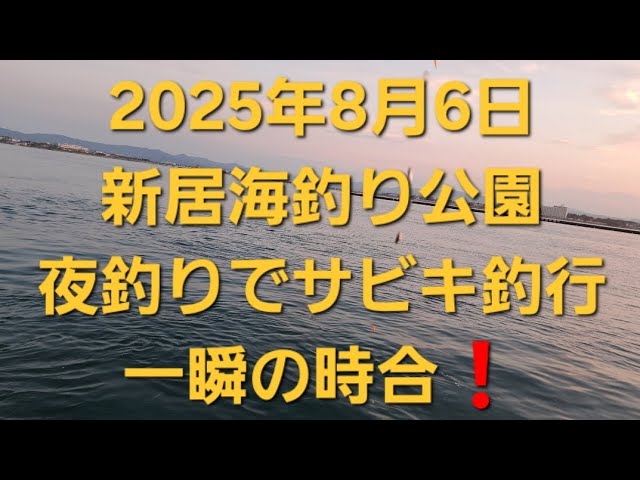 浜名湖　新居海釣り公園夜釣りでサビキ釣行　一瞬の時合　