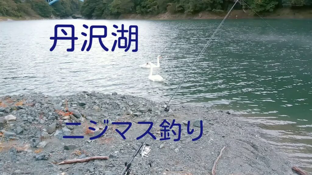 丹沢湖 釣り# ニジマス、ブルーギル# ブッコミ釣り🎣