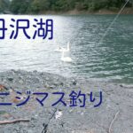 丹沢湖 釣り# ニジマス、ブルーギル# ブッコミ釣り🎣