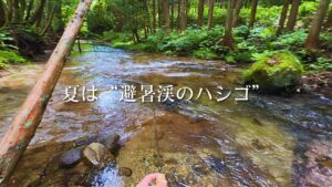 【渓流ルアー】南会津でハシゴ！"渇水・涼渓・黒イワナ" 釣りを愉しむ【東部】