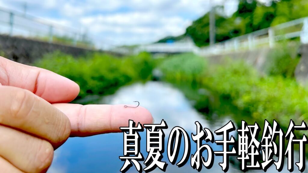 この針に変えた途端、近所の川にルアーフィッシングの楽園があることが判明したんだが……