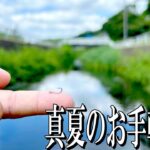この針に変えた途端、近所の川にルアーフィッシングの楽園があることが判明したんだが……