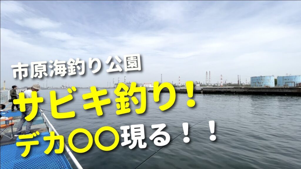 【市原オリジナルメーカー海釣り公園】デカ〇〇現る！サビキ釣りで春の美味しい回遊魚を狙う！